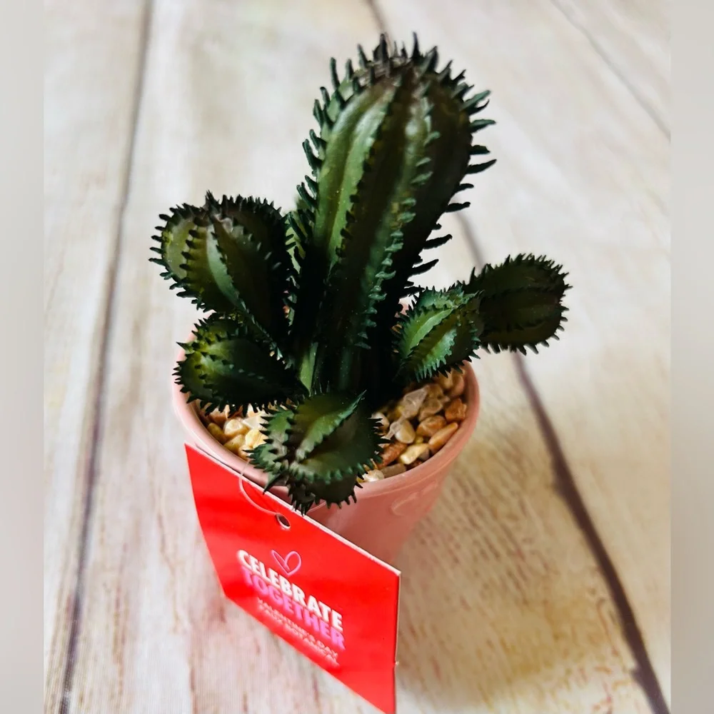 Celebrate Together Artificial Cactus Succulent Mini Plant Bundle 3pk NWT